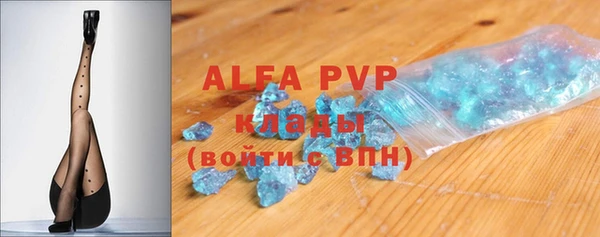 индика Новозыбков
