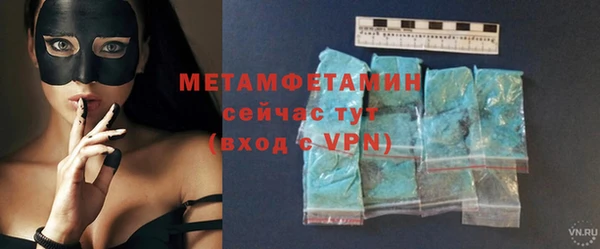 индика Новозыбков