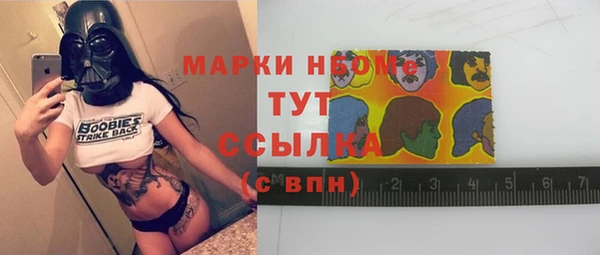 индика Новозыбков