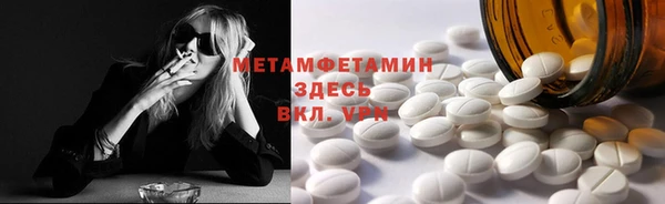 индика Новозыбков