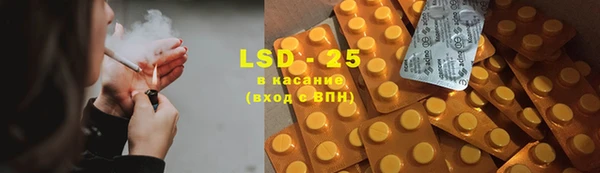 индика Новозыбков