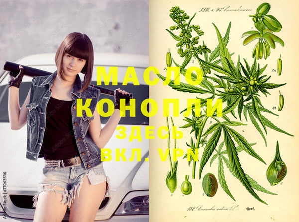 индика Новозыбков