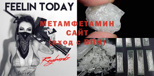 индика Новозыбков