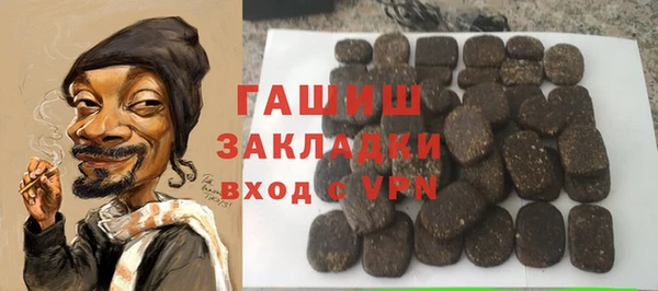 индика Новозыбков