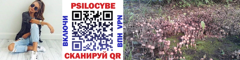 Псилоцибиновые грибы Psilocybine cubensis  гидра как войти  Нариманов 